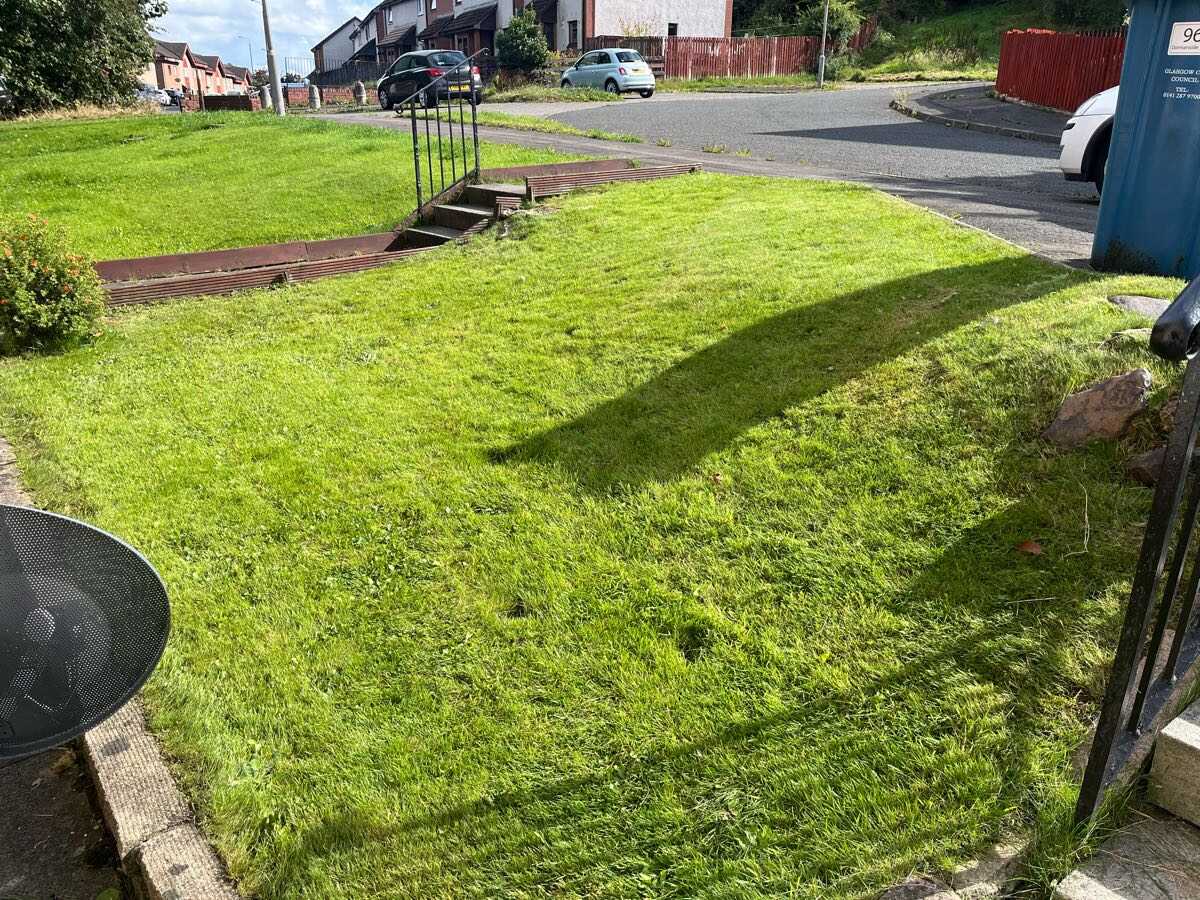 Sloping front lawn cut and tidied